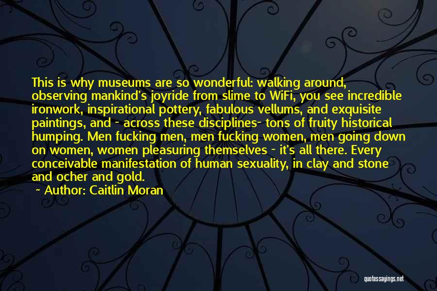 Caitlin Moran Quotes: This Is Why Museums Are So Wonderful: Walking Around, Observing Mankind's Joyride From Slime To Wifi, You See Incredible Ironwork,