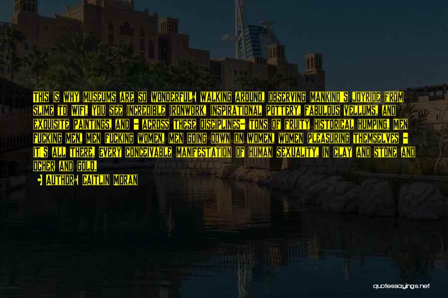Caitlin Moran Quotes: This Is Why Museums Are So Wonderful: Walking Around, Observing Mankind's Joyride From Slime To Wifi, You See Incredible Ironwork,