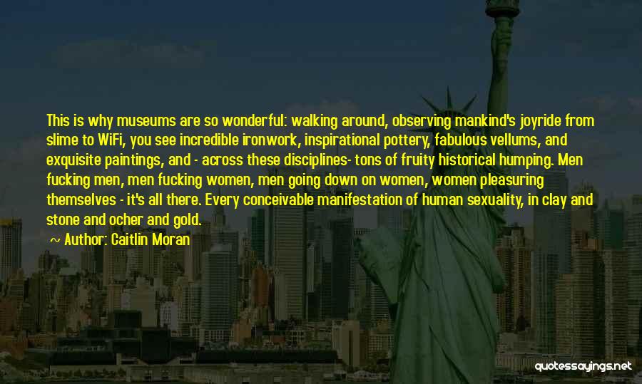 Caitlin Moran Quotes: This Is Why Museums Are So Wonderful: Walking Around, Observing Mankind's Joyride From Slime To Wifi, You See Incredible Ironwork,