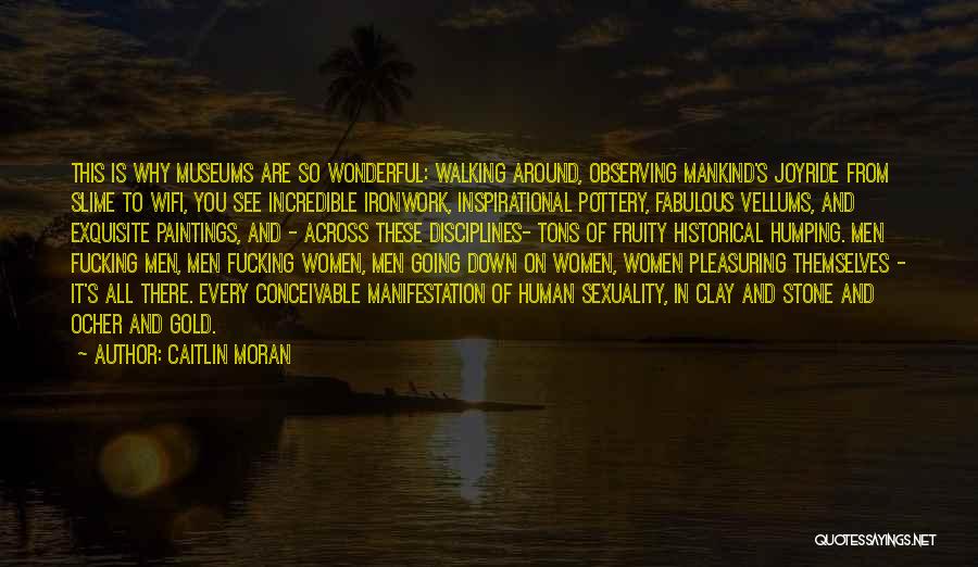 Caitlin Moran Quotes: This Is Why Museums Are So Wonderful: Walking Around, Observing Mankind's Joyride From Slime To Wifi, You See Incredible Ironwork,