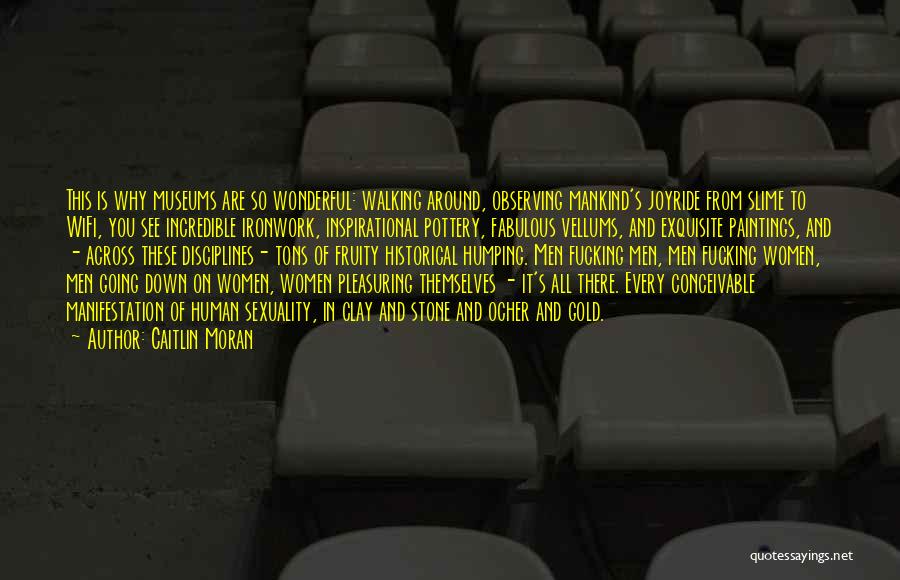Caitlin Moran Quotes: This Is Why Museums Are So Wonderful: Walking Around, Observing Mankind's Joyride From Slime To Wifi, You See Incredible Ironwork,
