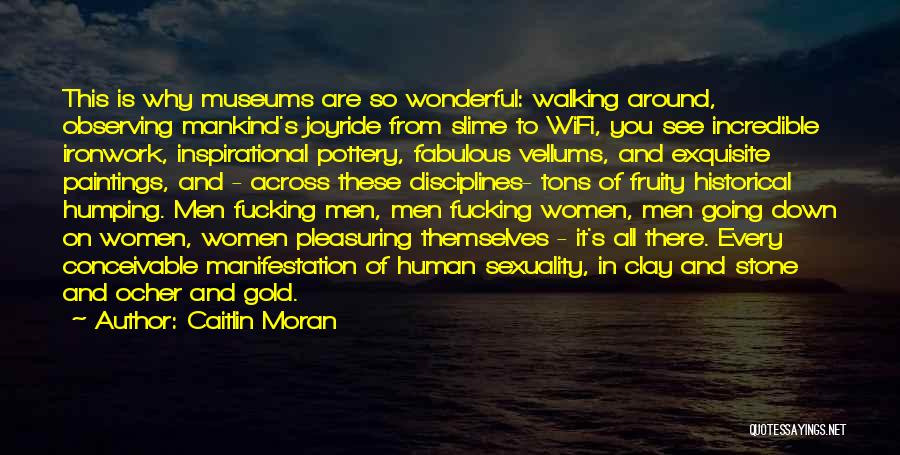 Caitlin Moran Quotes: This Is Why Museums Are So Wonderful: Walking Around, Observing Mankind's Joyride From Slime To Wifi, You See Incredible Ironwork,