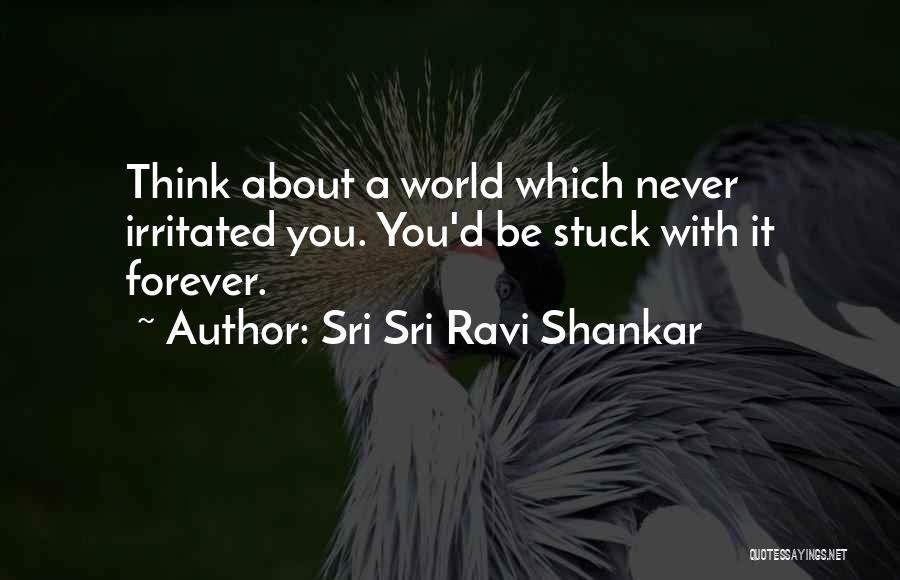 Sri Sri Ravi Shankar Quotes: Think About A World Which Never Irritated You. You'd Be Stuck With It Forever.