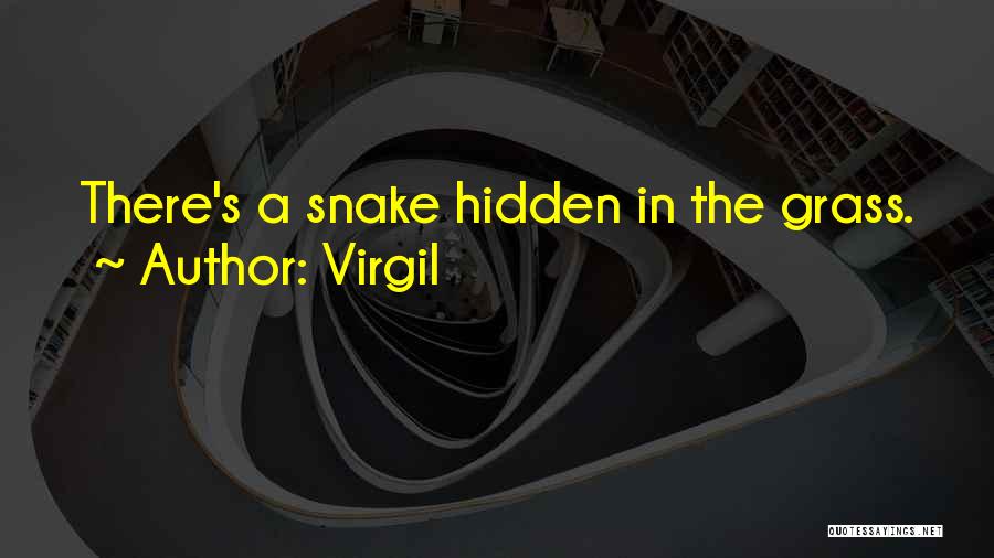 Virgil Quotes: There's A Snake Hidden In The Grass.