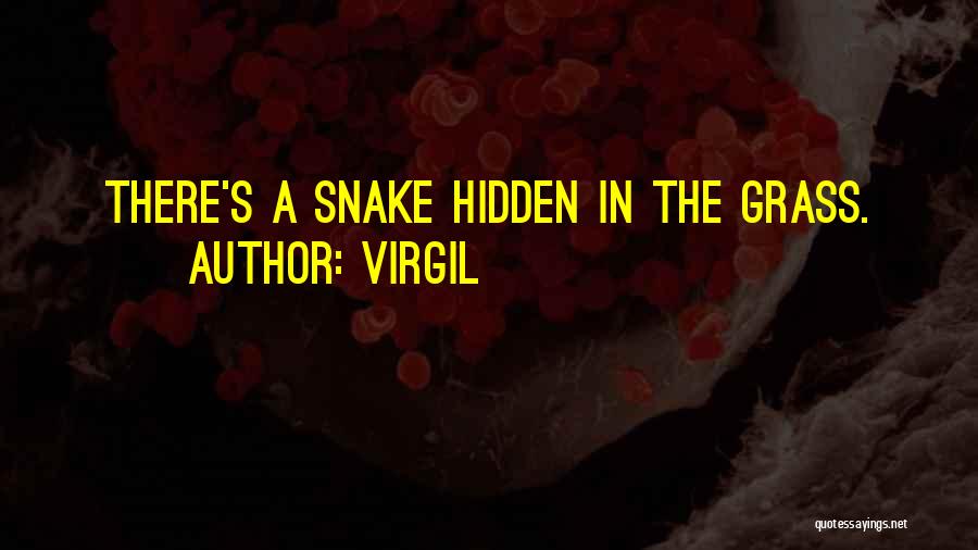 Virgil Quotes: There's A Snake Hidden In The Grass.