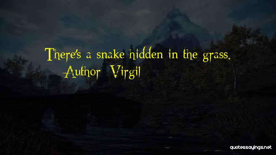 Virgil Quotes: There's A Snake Hidden In The Grass.