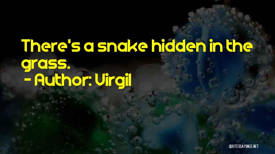 Virgil Quotes: There's A Snake Hidden In The Grass.