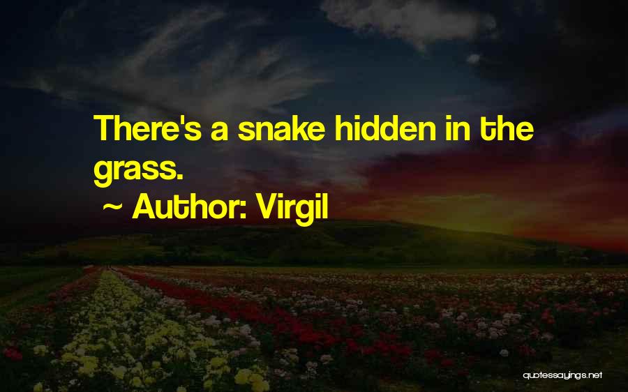 Virgil Quotes: There's A Snake Hidden In The Grass.