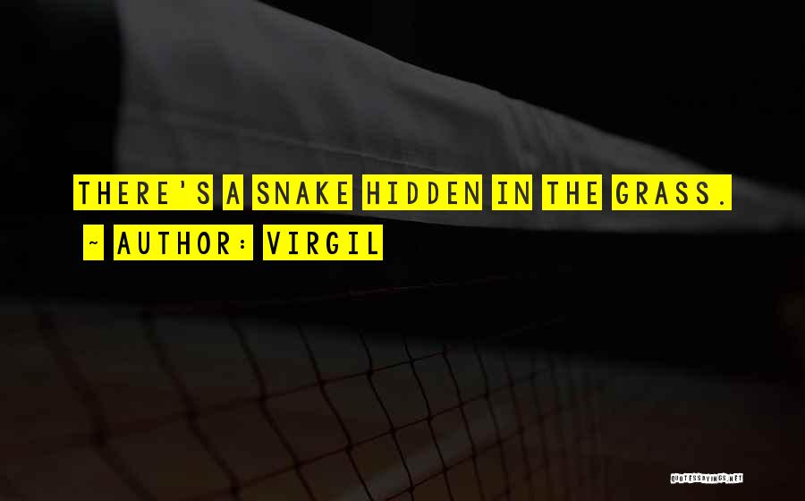 Virgil Quotes: There's A Snake Hidden In The Grass.