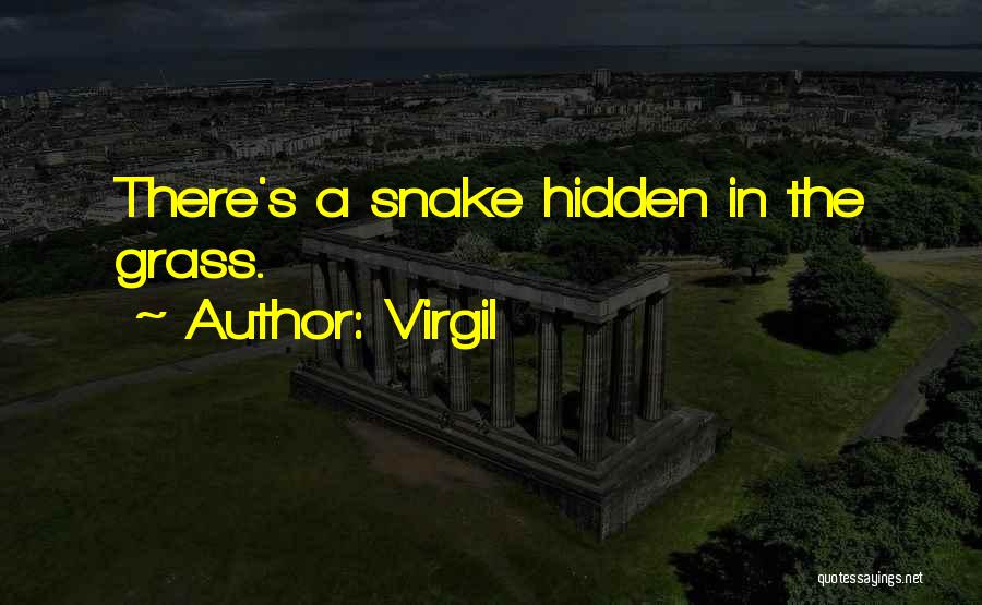 Virgil Quotes: There's A Snake Hidden In The Grass.