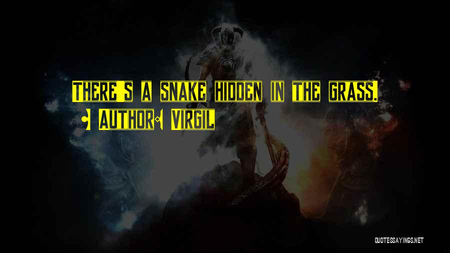 Virgil Quotes: There's A Snake Hidden In The Grass.