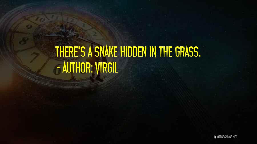 Virgil Quotes: There's A Snake Hidden In The Grass.