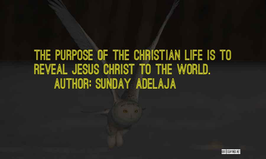 Sunday Adelaja Quotes: The Purpose Of The Christian Life Is To Reveal Jesus Christ To The World.