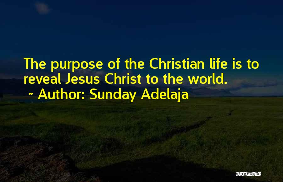 Sunday Adelaja Quotes: The Purpose Of The Christian Life Is To Reveal Jesus Christ To The World.