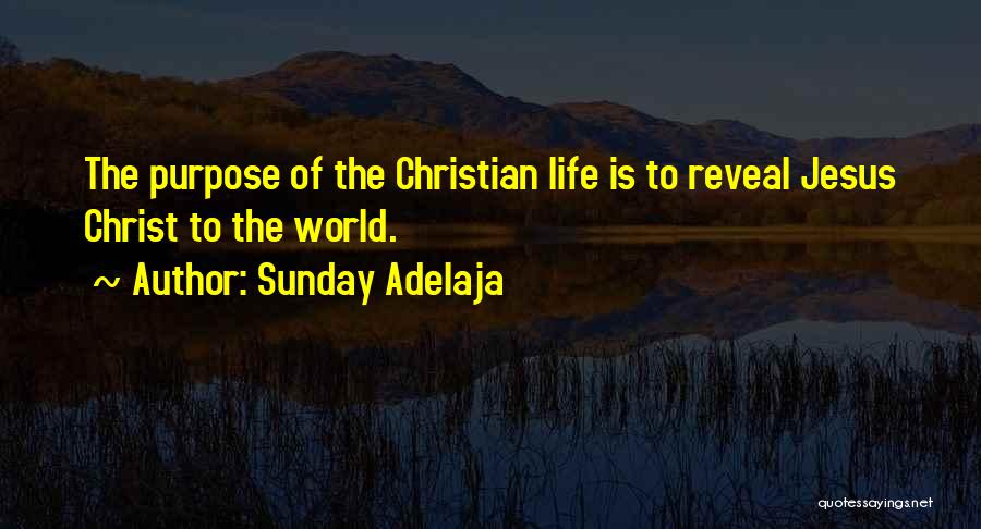 Sunday Adelaja Quotes: The Purpose Of The Christian Life Is To Reveal Jesus Christ To The World.