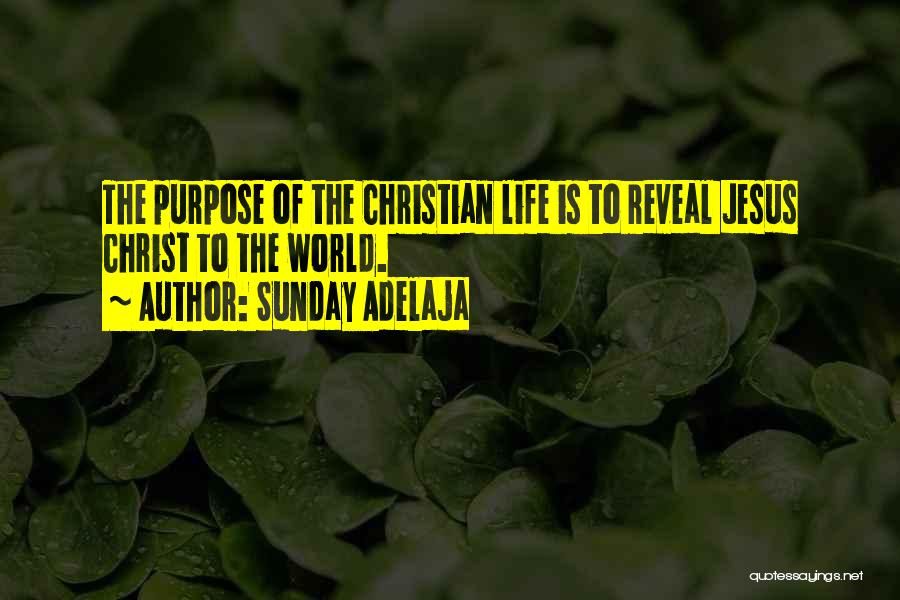 Sunday Adelaja Quotes: The Purpose Of The Christian Life Is To Reveal Jesus Christ To The World.