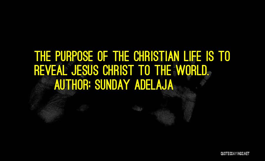 Sunday Adelaja Quotes: The Purpose Of The Christian Life Is To Reveal Jesus Christ To The World.