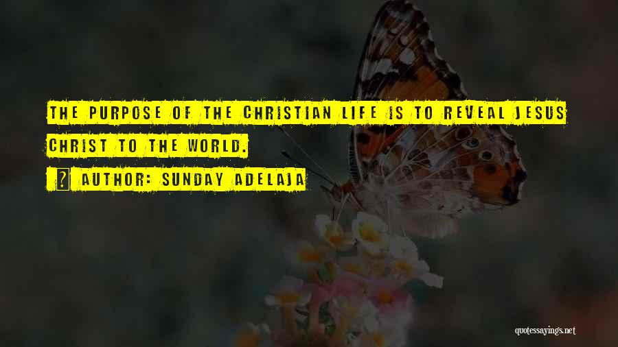 Sunday Adelaja Quotes: The Purpose Of The Christian Life Is To Reveal Jesus Christ To The World.