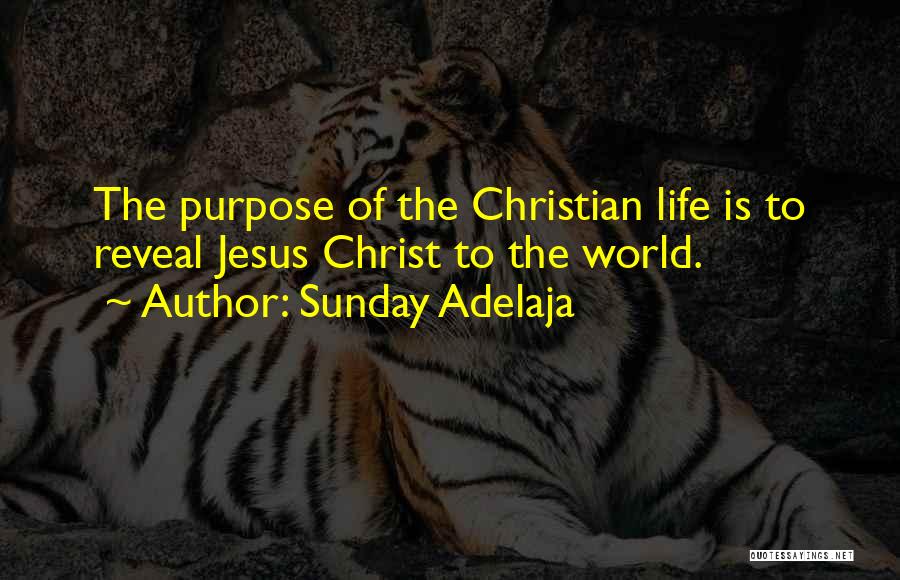 Sunday Adelaja Quotes: The Purpose Of The Christian Life Is To Reveal Jesus Christ To The World.