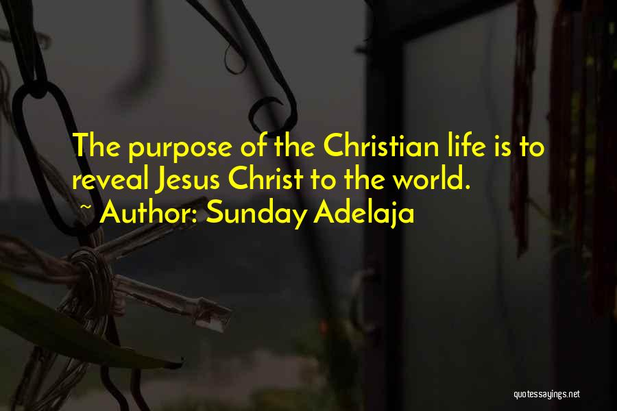 Sunday Adelaja Quotes: The Purpose Of The Christian Life Is To Reveal Jesus Christ To The World.