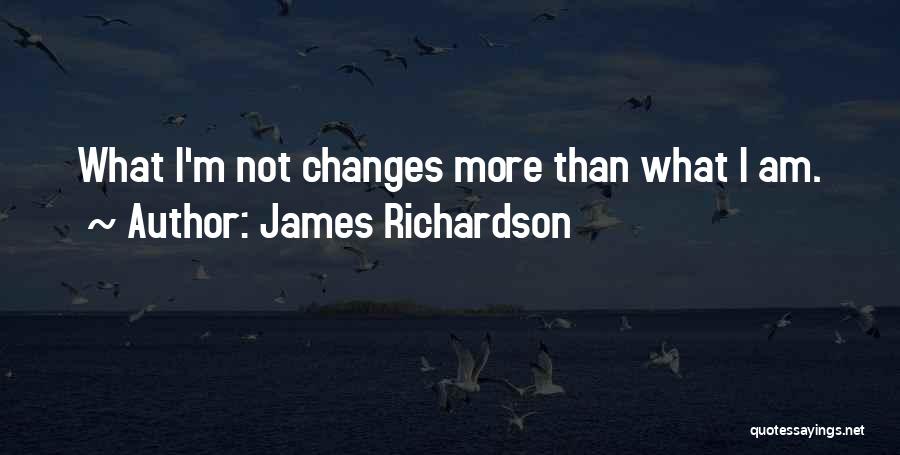 James Richardson Quotes: What I'm Not Changes More Than What I Am.