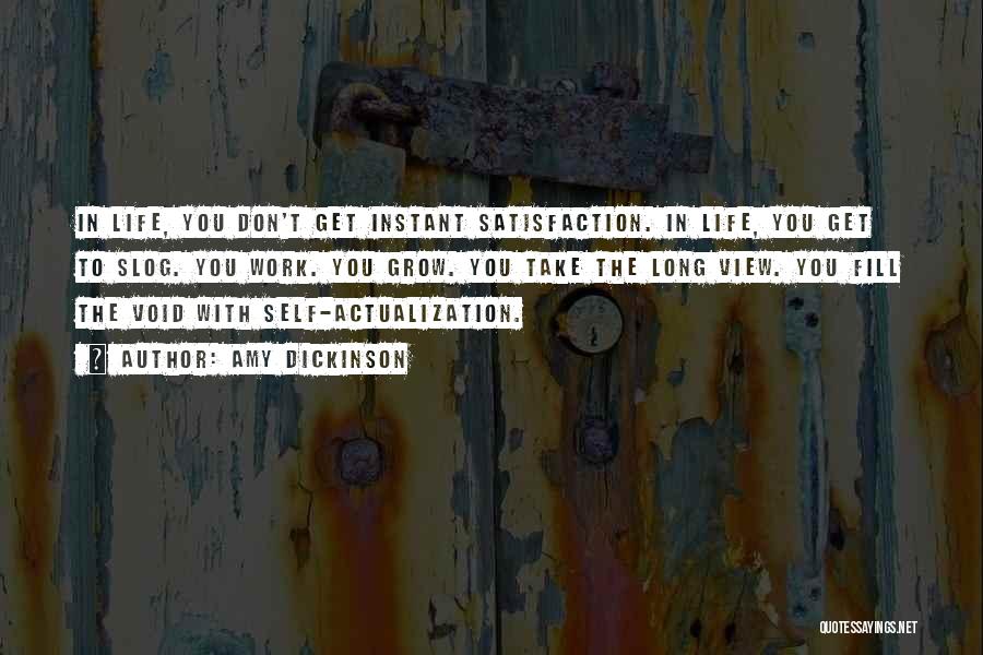 Amy Dickinson Quotes: In Life, You Don't Get Instant Satisfaction. In Life, You Get To Slog. You Work. You Grow. You Take The