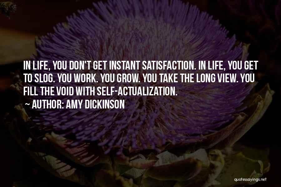 Amy Dickinson Quotes: In Life, You Don't Get Instant Satisfaction. In Life, You Get To Slog. You Work. You Grow. You Take The