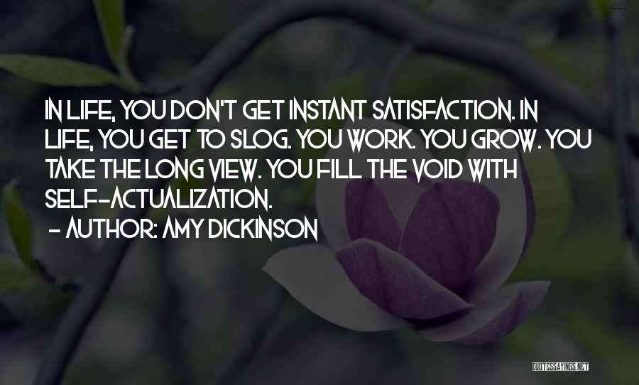 Amy Dickinson Quotes: In Life, You Don't Get Instant Satisfaction. In Life, You Get To Slog. You Work. You Grow. You Take The