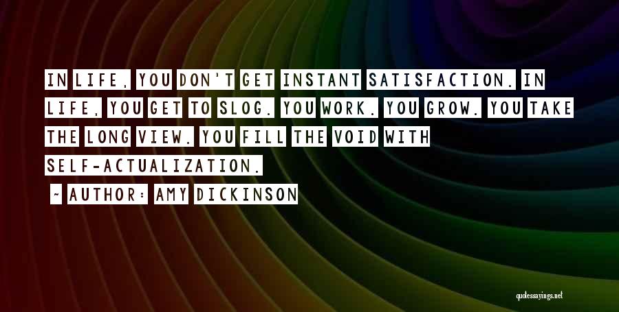 Amy Dickinson Quotes: In Life, You Don't Get Instant Satisfaction. In Life, You Get To Slog. You Work. You Grow. You Take The