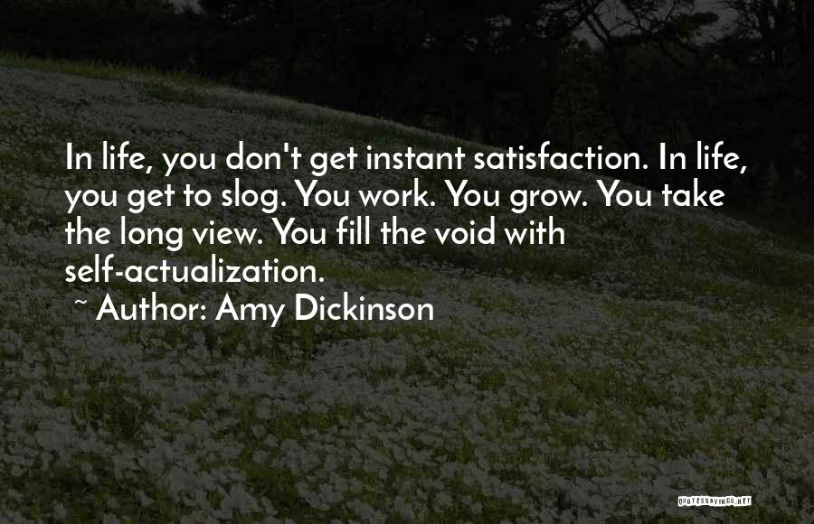 Amy Dickinson Quotes: In Life, You Don't Get Instant Satisfaction. In Life, You Get To Slog. You Work. You Grow. You Take The