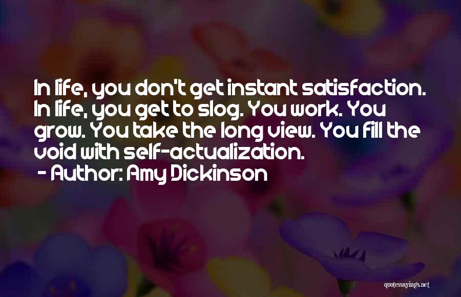 Amy Dickinson Quotes: In Life, You Don't Get Instant Satisfaction. In Life, You Get To Slog. You Work. You Grow. You Take The