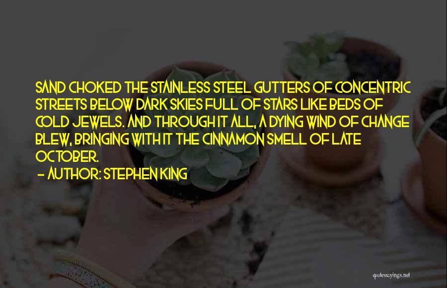 Stephen King Quotes: Sand Choked The Stainless Steel Gutters Of Concentric Streets Below Dark Skies Full Of Stars Like Beds Of Cold Jewels.