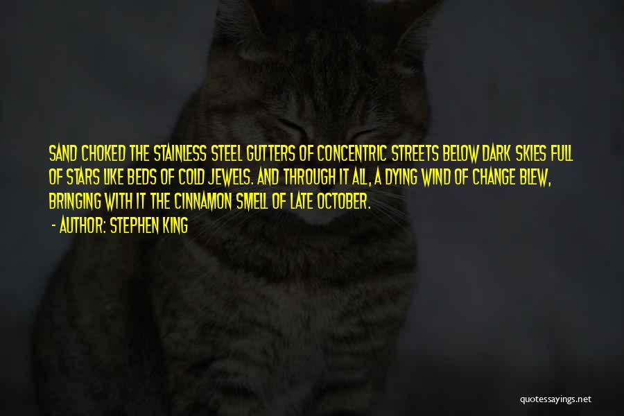 Stephen King Quotes: Sand Choked The Stainless Steel Gutters Of Concentric Streets Below Dark Skies Full Of Stars Like Beds Of Cold Jewels.