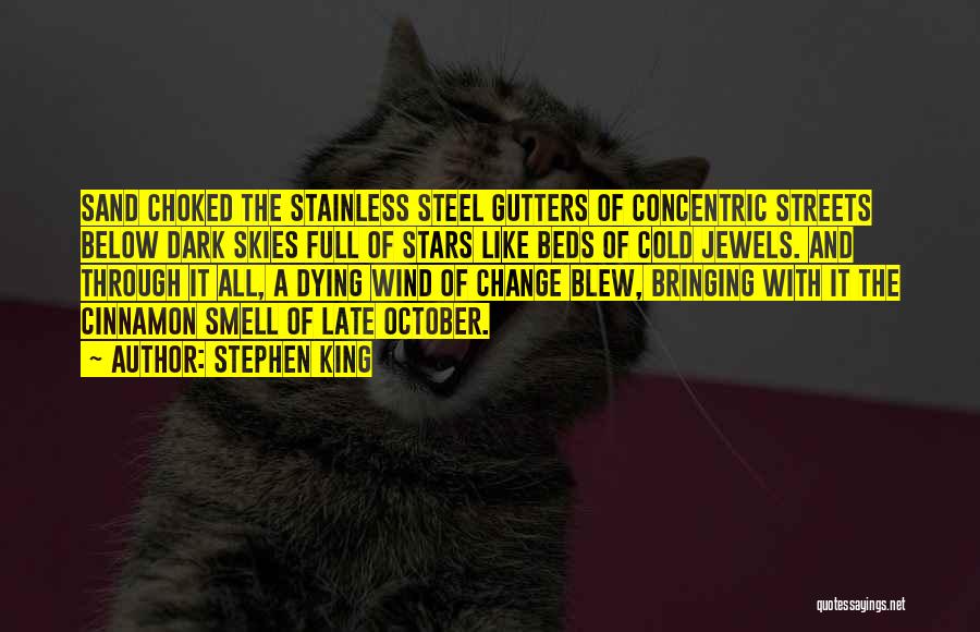 Stephen King Quotes: Sand Choked The Stainless Steel Gutters Of Concentric Streets Below Dark Skies Full Of Stars Like Beds Of Cold Jewels.