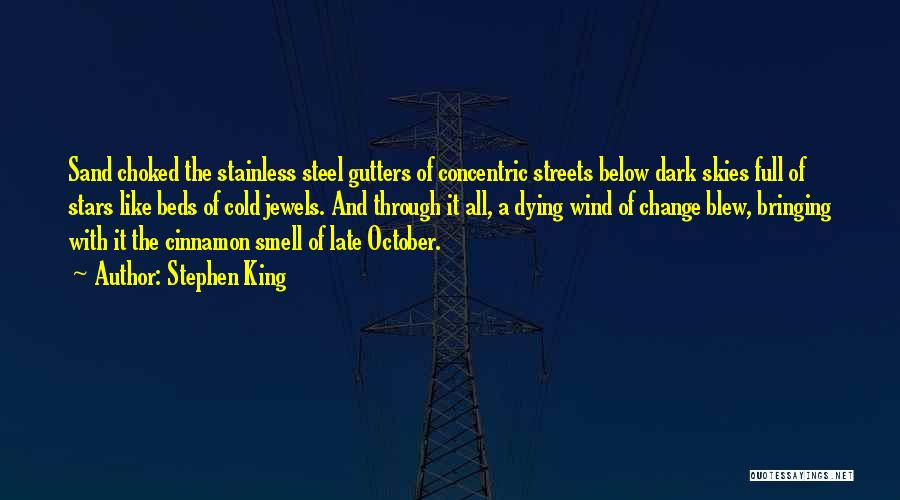 Stephen King Quotes: Sand Choked The Stainless Steel Gutters Of Concentric Streets Below Dark Skies Full Of Stars Like Beds Of Cold Jewels.