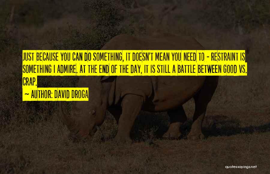 David Droga Quotes: Just Because You Can Do Something, It Doesn't Mean You Need To - Restraint Is Something I Admire. At The