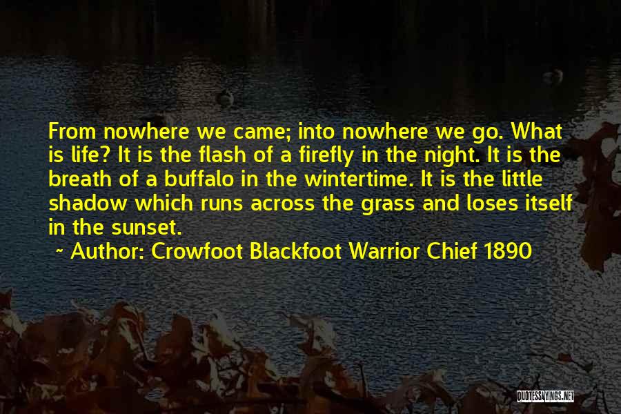 Crowfoot Blackfoot Warrior Chief 1890 Quotes: From Nowhere We Came; Into Nowhere We Go. What Is Life? It Is The Flash Of A Firefly In The