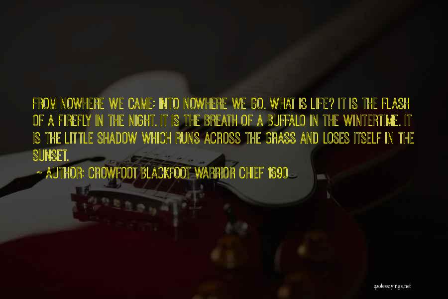 Crowfoot Blackfoot Warrior Chief 1890 Quotes: From Nowhere We Came; Into Nowhere We Go. What Is Life? It Is The Flash Of A Firefly In The