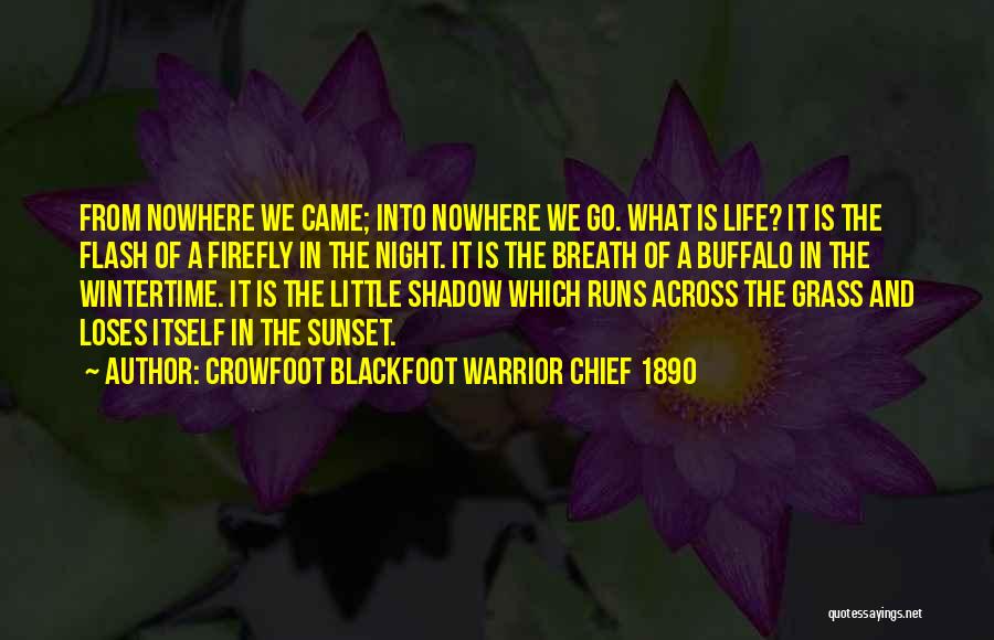 Crowfoot Blackfoot Warrior Chief 1890 Quotes: From Nowhere We Came; Into Nowhere We Go. What Is Life? It Is The Flash Of A Firefly In The