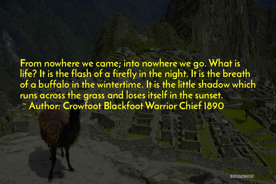 Crowfoot Blackfoot Warrior Chief 1890 Quotes: From Nowhere We Came; Into Nowhere We Go. What Is Life? It Is The Flash Of A Firefly In The