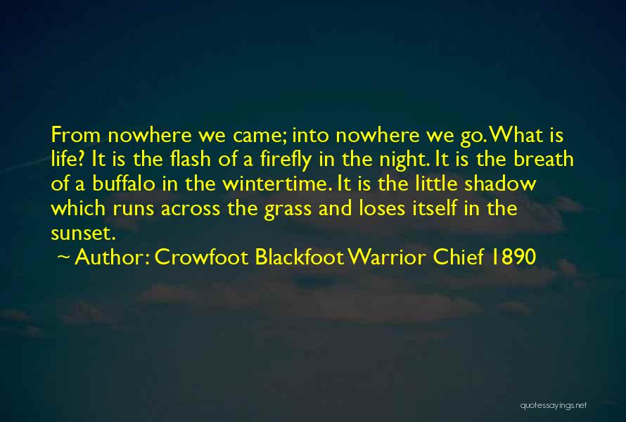 Crowfoot Blackfoot Warrior Chief 1890 Quotes: From Nowhere We Came; Into Nowhere We Go. What Is Life? It Is The Flash Of A Firefly In The