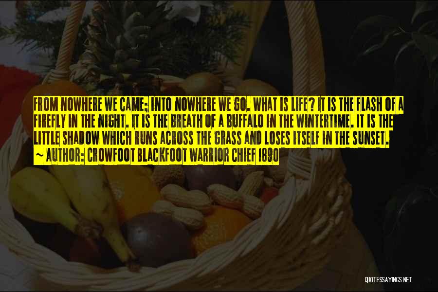 Crowfoot Blackfoot Warrior Chief 1890 Quotes: From Nowhere We Came; Into Nowhere We Go. What Is Life? It Is The Flash Of A Firefly In The