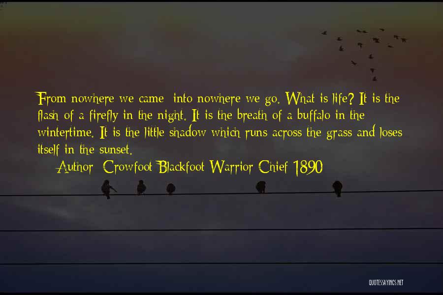 Crowfoot Blackfoot Warrior Chief 1890 Quotes: From Nowhere We Came; Into Nowhere We Go. What Is Life? It Is The Flash Of A Firefly In The