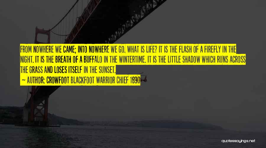 Crowfoot Blackfoot Warrior Chief 1890 Quotes: From Nowhere We Came; Into Nowhere We Go. What Is Life? It Is The Flash Of A Firefly In The