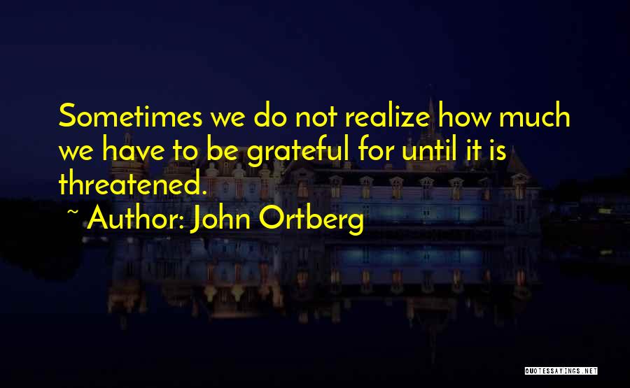 John Ortberg Quotes: Sometimes We Do Not Realize How Much We Have To Be Grateful For Until It Is Threatened.