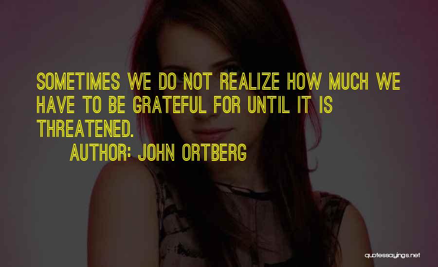 John Ortberg Quotes: Sometimes We Do Not Realize How Much We Have To Be Grateful For Until It Is Threatened.