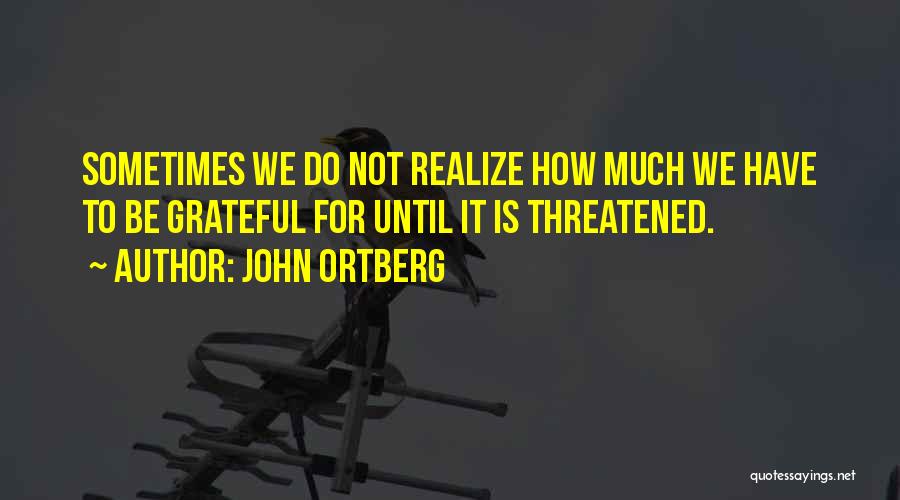 John Ortberg Quotes: Sometimes We Do Not Realize How Much We Have To Be Grateful For Until It Is Threatened.