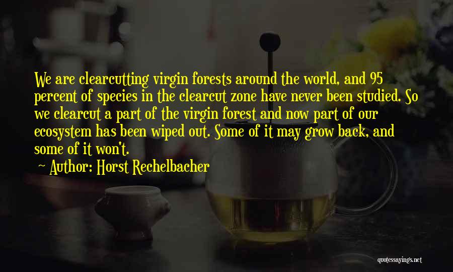 Horst Rechelbacher Quotes: We Are Clearcutting Virgin Forests Around The World, And 95 Percent Of Species In The Clearcut Zone Have Never Been