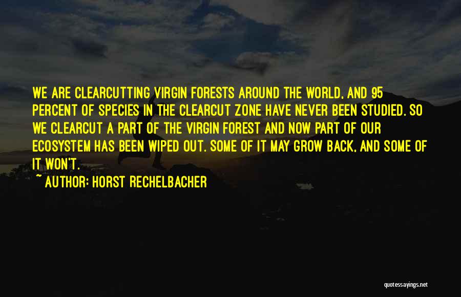 Horst Rechelbacher Quotes: We Are Clearcutting Virgin Forests Around The World, And 95 Percent Of Species In The Clearcut Zone Have Never Been
