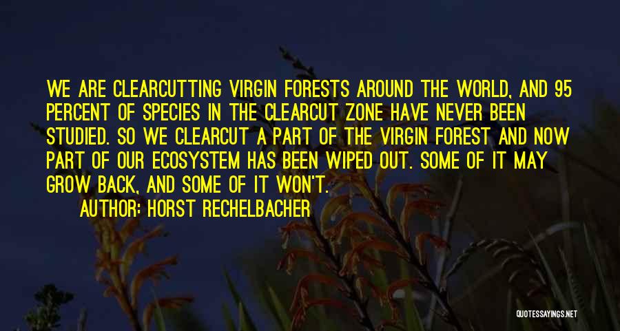 Horst Rechelbacher Quotes: We Are Clearcutting Virgin Forests Around The World, And 95 Percent Of Species In The Clearcut Zone Have Never Been